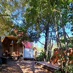 Nido del Quetrupillan