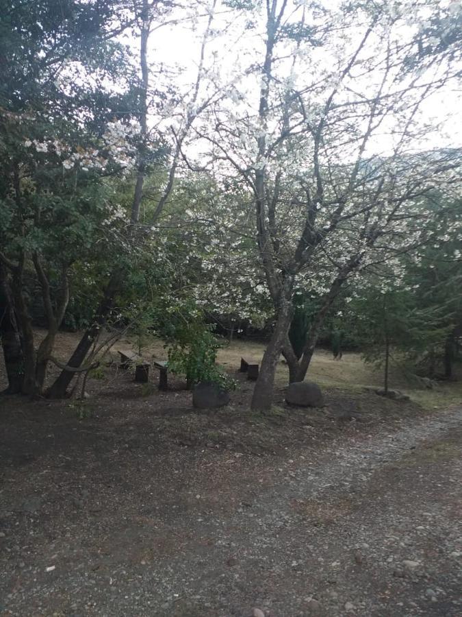 Nido Del Quetrupillan Domo Geodesico Casa de férias Curarrehue