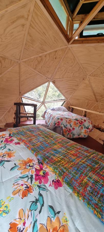 Casa de férias Nido Del Quetrupillan Domo Geodesico