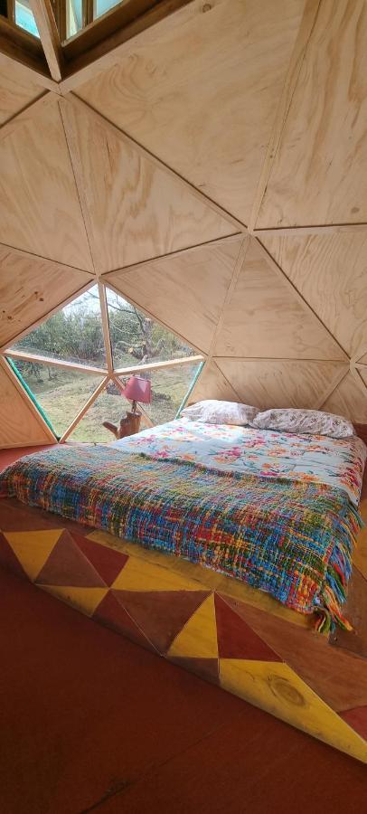 Nido Del Quetrupillan Domo Geodesico Casa de férias Curarrehue