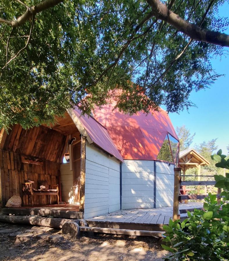 Casa de férias Nido Del Quetrupillan Domo Geodesico *